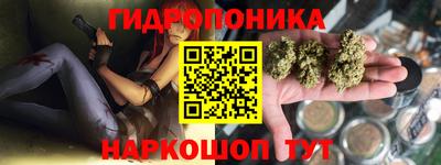 мдпв Обь