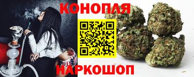 мяу мяу мука Новокубанск