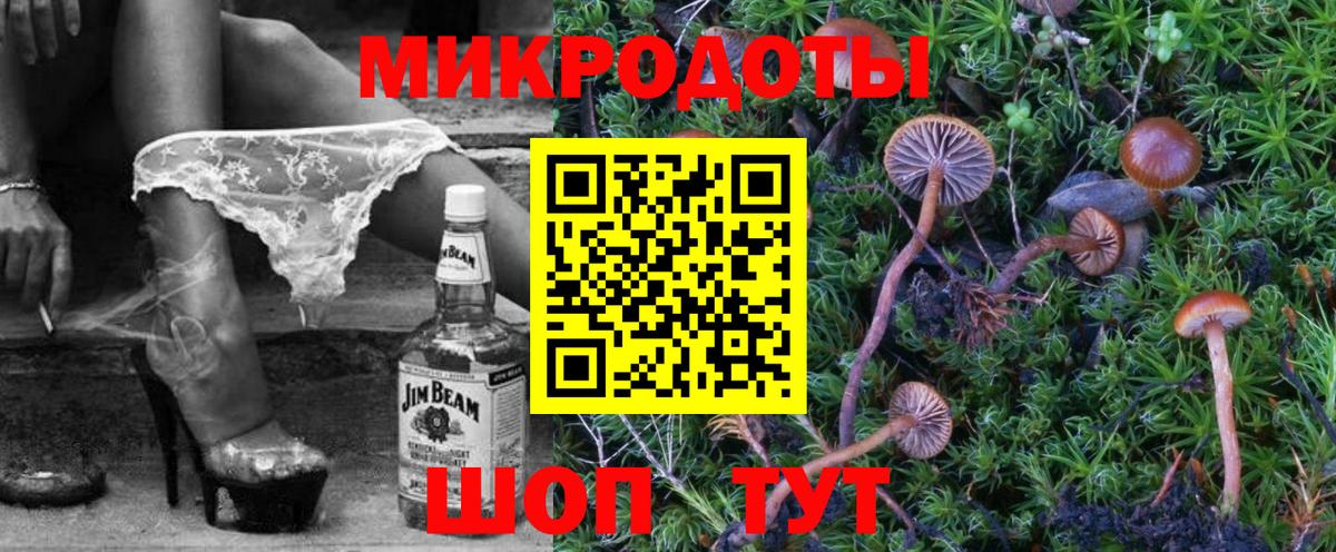 Псилоцибиновые грибы Psilocybine cubensis Строитель